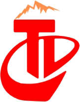 华语卫视新闻网